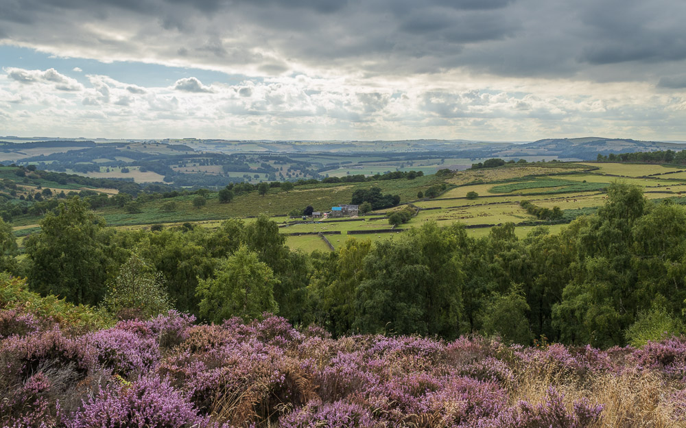 Longstone Edge